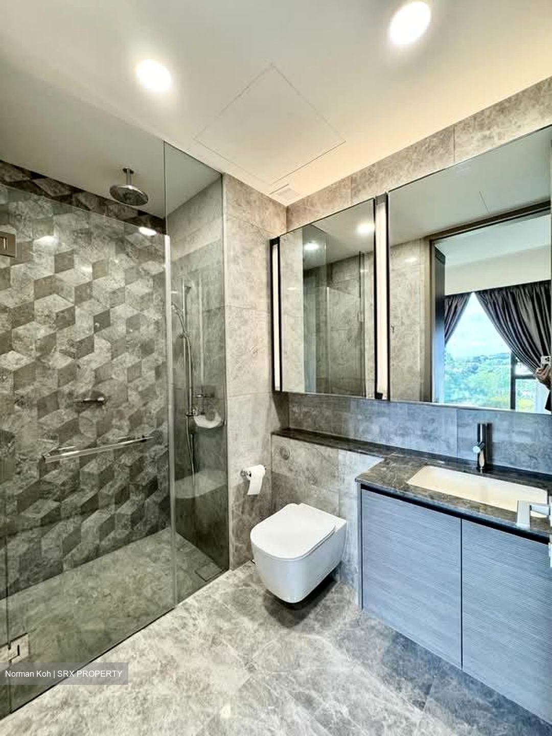 Leedon Green (D10), Condominium #566757051